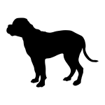 American Bulldog