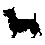 Australian Terrier