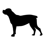 Boerboel