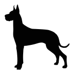Great Dane