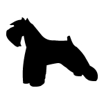 Schnauzer, Miniature