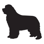 Newfoundland