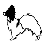 Papillon