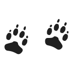Paw Prints